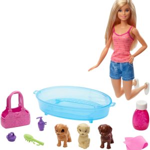 Barbie Doll & Accessories